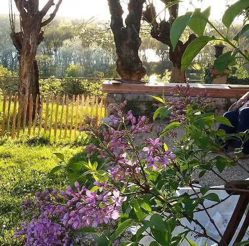 Hdc La Maison Des Amis Casa de Férias *